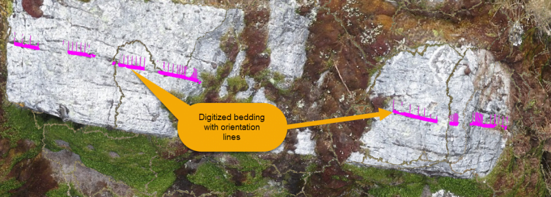 Digitized bedding