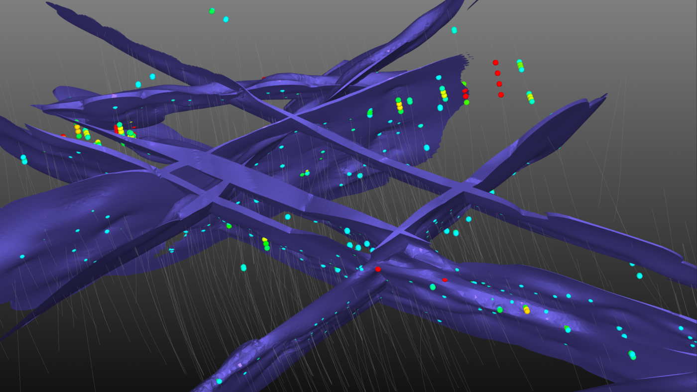 Screenshot of vein system model